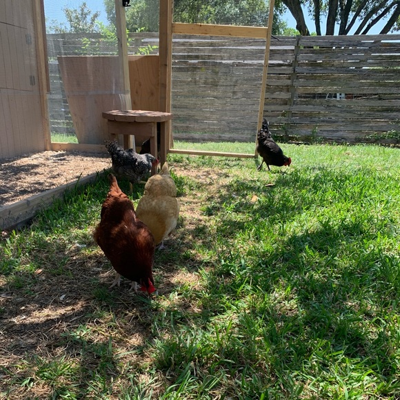 Meet your Posher, Davie - Picture 4 of 8